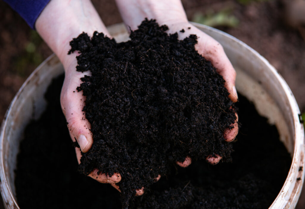 What is the Difference Between Mulch, Compost, and Bark
