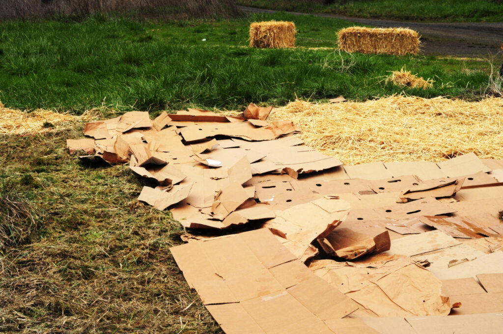 Cardboard Mulch