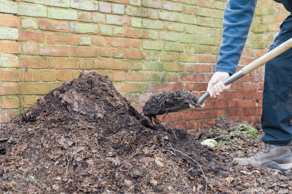 Compost Pile 