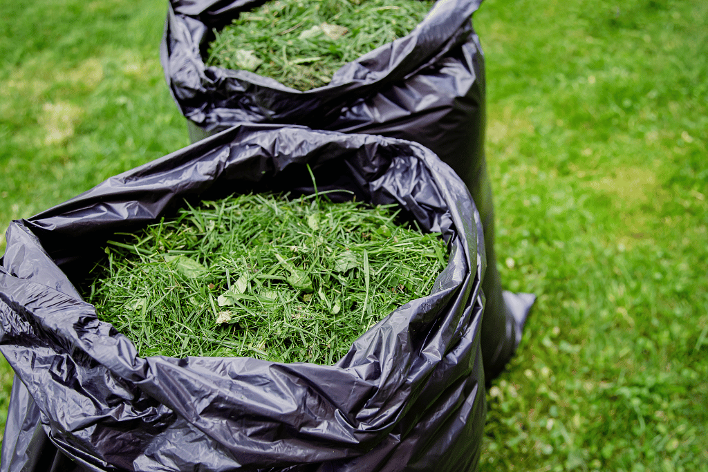 Bagging vs. Mulching Grass Clippings