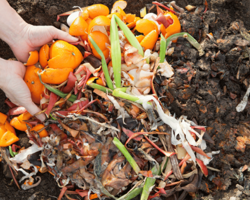 orange peels in compost