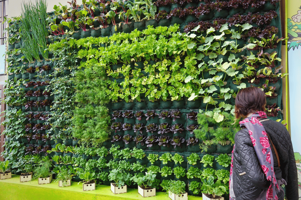 Vertical vegetable garden wall