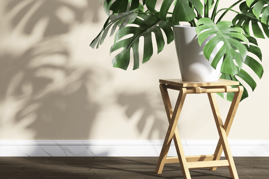 Modern Wood Plant Stand