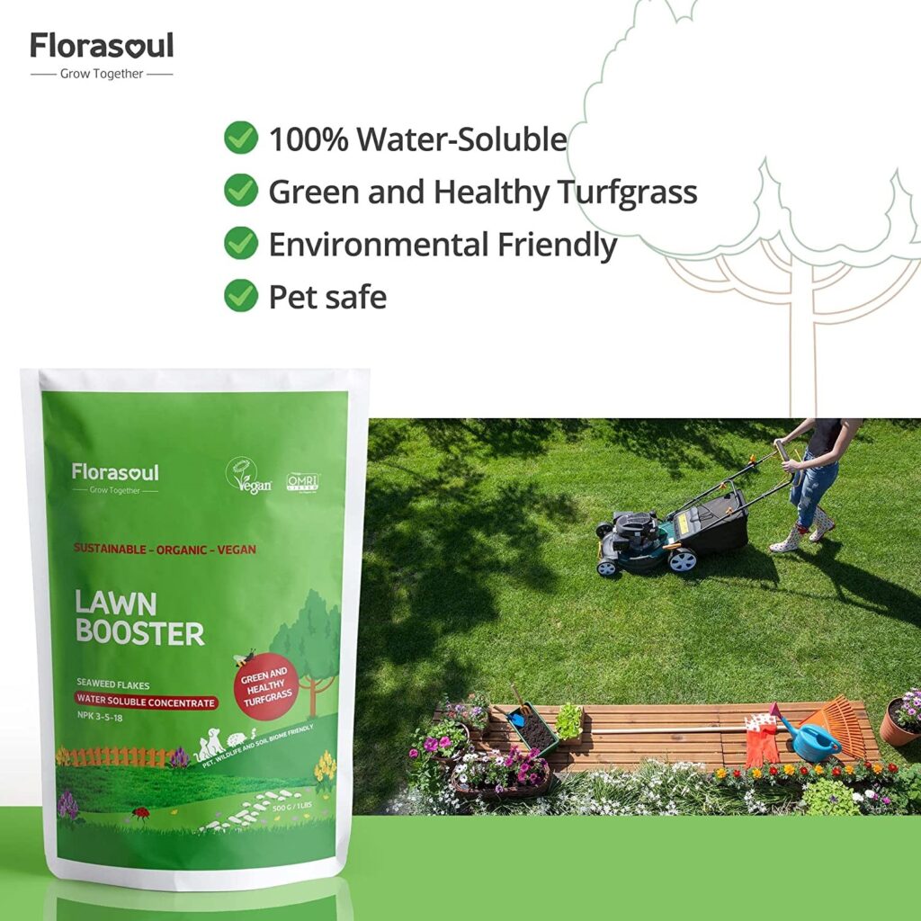 Florasoul Organic Lawn Fertilizer