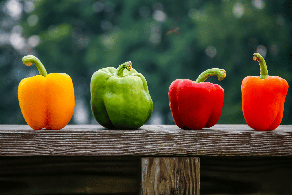 when to pick bell peppers