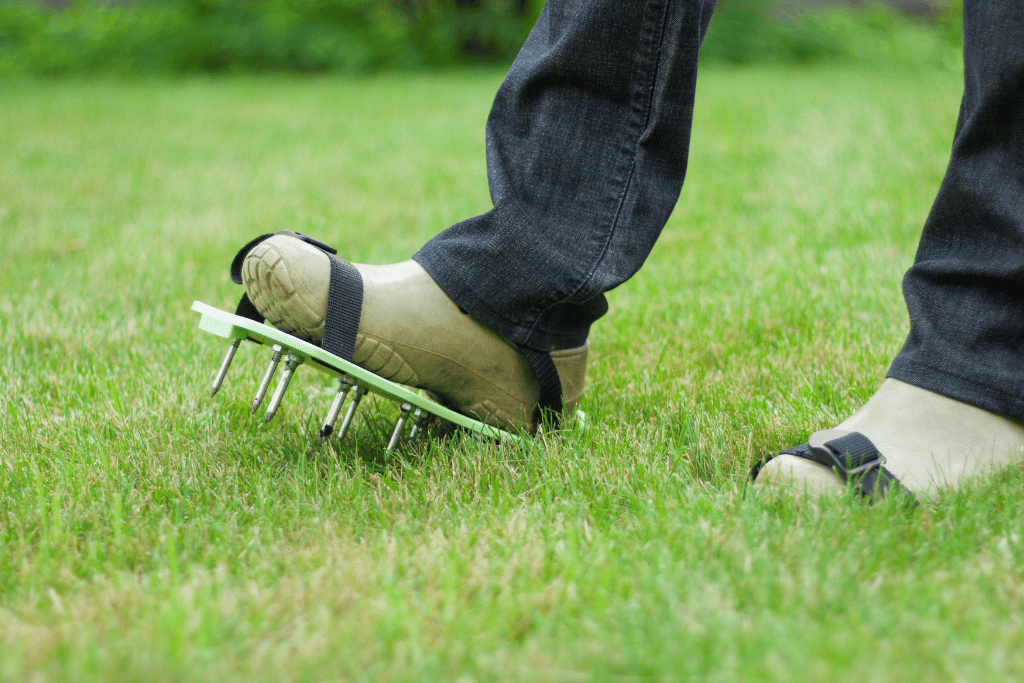 best lawn aerator shoes