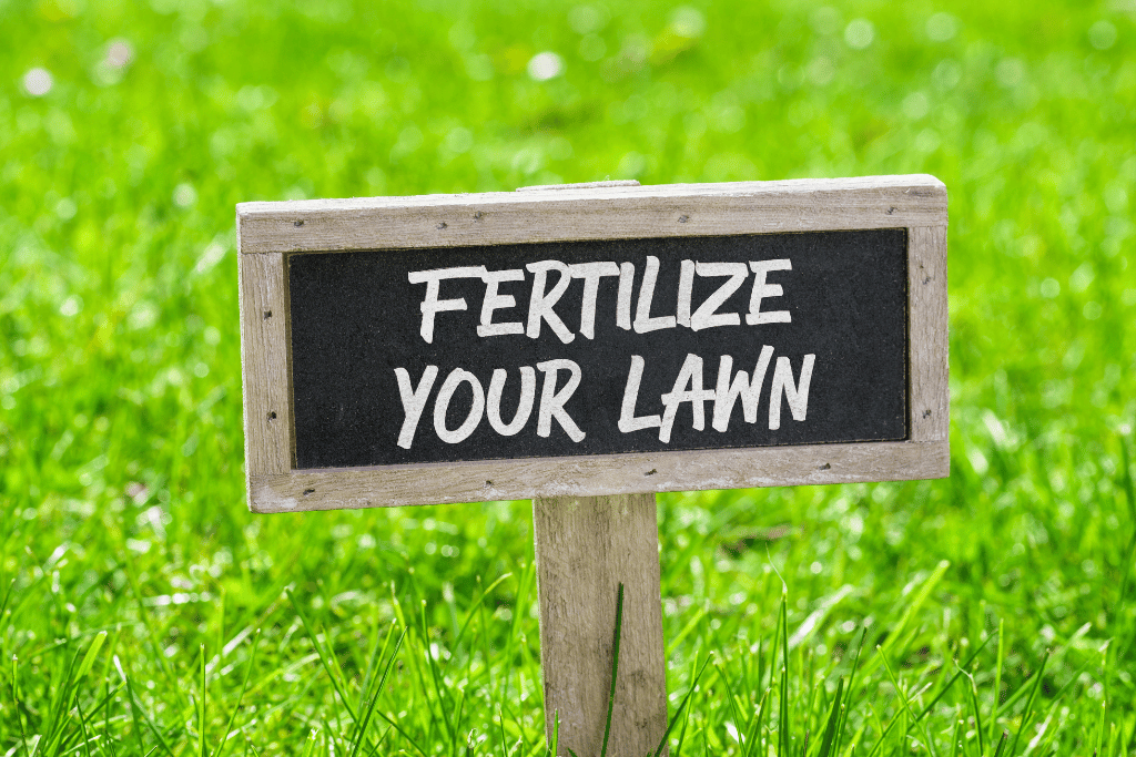 Best Fall Fertilizing Tips