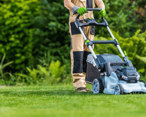 best lawn mower for st augustine grass