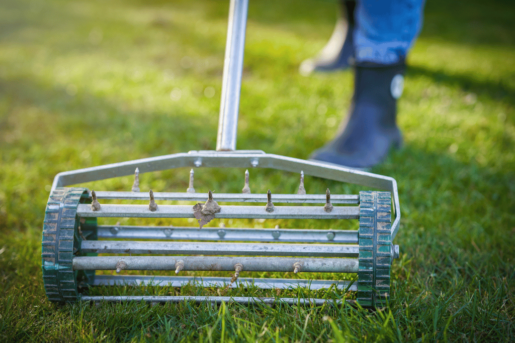 best time to aerate lawn in ohio