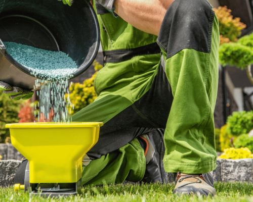 When is the Best Time to Fertilize Your Lawn